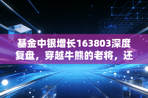 基金中银增长163803深度复盘，穿越牛熊的老将，还能否在这个时代为你守住财富？
