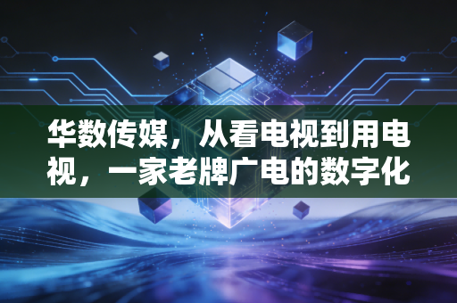 华数传媒，从看电视到用电视，一家老牌广电的数字化突围样本