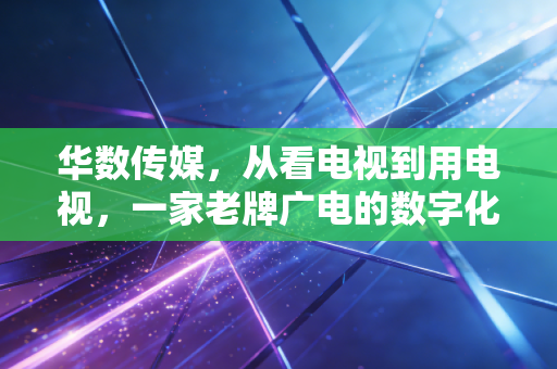 华数传媒，从看电视到用电视，一家老牌广电的数字化突围样本