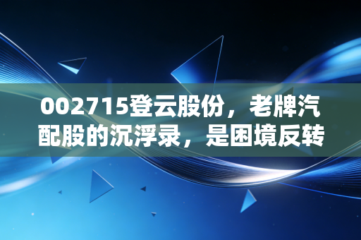 002715登云股份，老牌汽配股的沉浮录，是困境反转还是价值陷阱？