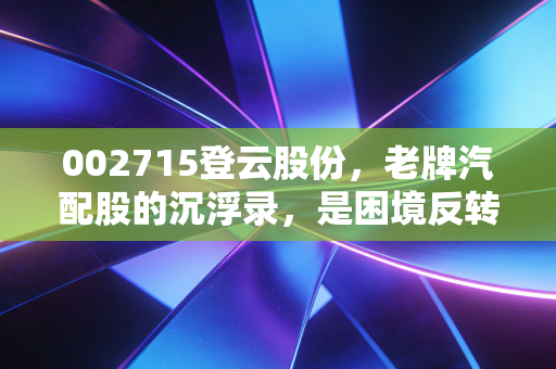 002715登云股份，老牌汽配股的沉浮录，是困境反转还是价值陷阱？