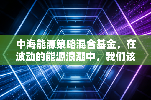 中海能源策略混合基金,在波动的能源浪潮中,我们该如何寻找稳健的航向?