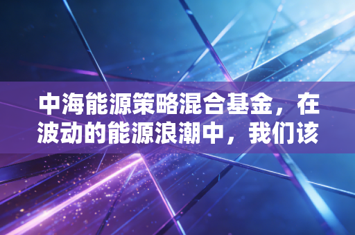 中海能源策略混合基金，在波动的能源浪潮中，我们该如何寻找稳健的航向？