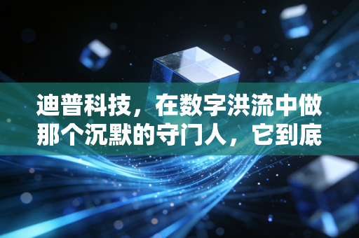 迪普科技，在数字洪流中做那个沉默的守门人，它到底硬核在哪里？