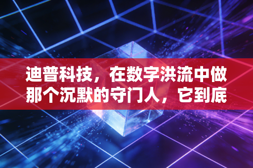 迪普科技，在数字洪流中做那个沉默的守门人，它到底硬核在哪里？