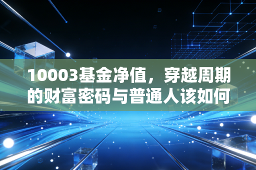 10003基金净值,穿越周期的财富密码与普通人该如何读懂它