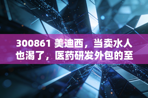 300861 美迪西，当卖水人也渴了，医药研发外包的至暗时刻还是黄金坑？