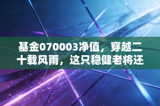 基金070003净值,穿越二十载风雨,这只稳健老将还能打吗?