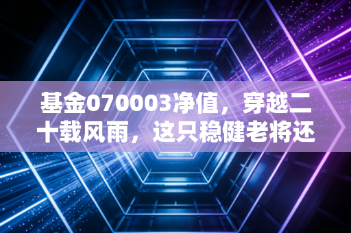 基金070003净值,穿越二十载风雨,这只稳健老将还能打吗?