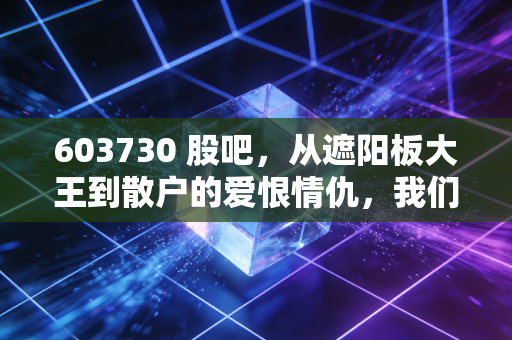 603730 股吧，从遮阳板大王到散户的爱恨情仇，我们该如何看懂这家公司的真实价值？