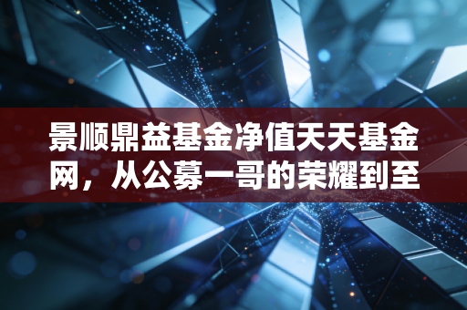 景顺鼎益基金净值天天基金网，从公募一哥的荣耀到至暗时刻，我们该如何在波动中寻找投资的定力？