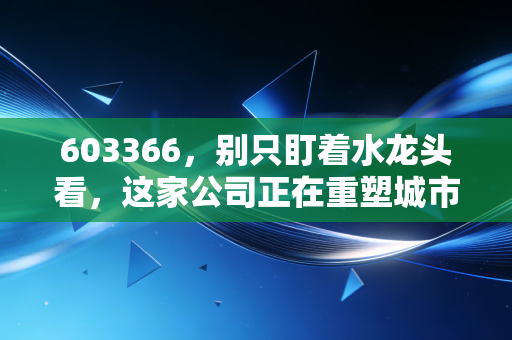 603366，别只盯着水龙头看，这家公司正在重塑城市的地下血管
