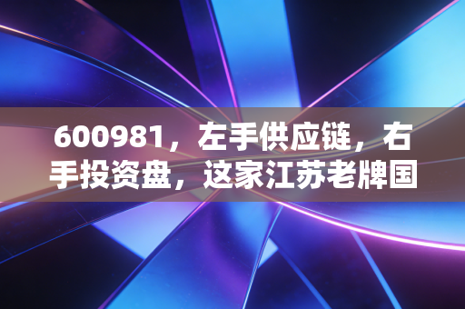 600981,左手供应链,右手投资盘,这家江苏老牌国企的隐形价值到底该如何挖掘?