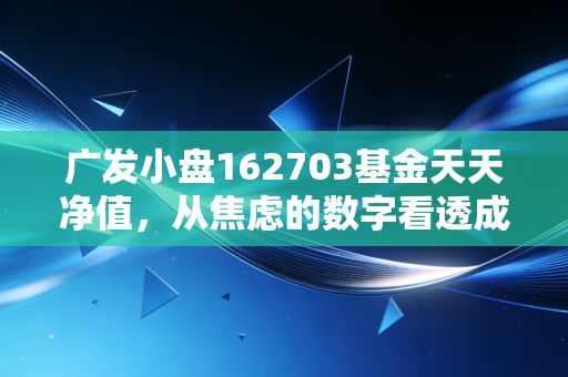 广发小盘162703基金天天净值，从焦虑的数字看透成长的真相