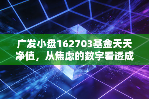 广发小盘162703基金天天净值，从焦虑的数字看透成长的真相