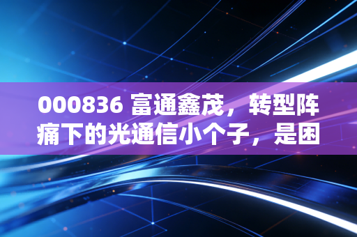 000836 富通鑫茂，转型阵痛下的光通信小个子，是困境反转还是资本博弈？