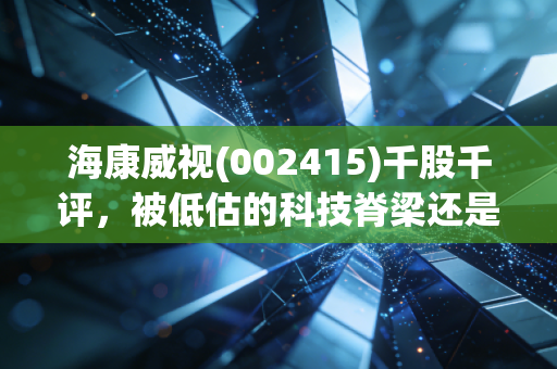 海康威视(002415)千股千评，被低估的科技脊梁还是困在业绩泥潭的昔日白马？