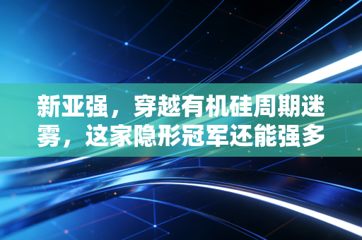 新亚强，穿越有机硅周期迷雾，这家隐形冠军还能强多久？