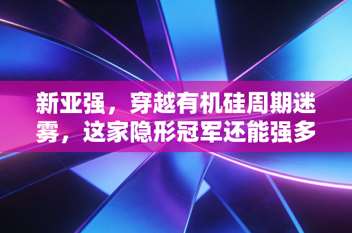 新亚强，穿越有机硅周期迷雾，这家隐形冠军还能强多久？