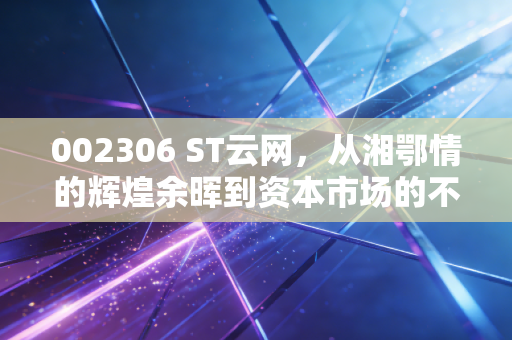 002306 ST云网,从湘鄂情的辉煌余晖到资本市场的不死鸟,这出大戏你看懂了吗?