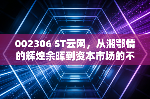 002306 ST云网,从湘鄂情的辉煌余晖到资本市场的不死鸟,这出大戏你看懂了吗?