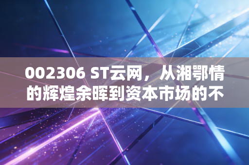 002306 ST云网,从湘鄂情的辉煌余晖到资本市场的不死鸟,这出大戏你看懂了吗?