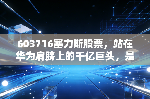 603716塞力斯股票,站在华为肩膀上的千亿巨头,是泡沫还是信仰?
