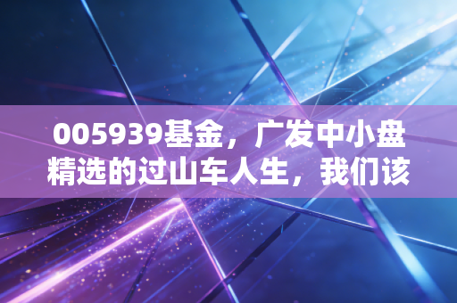 005939基金,广发中小盘精选的过山车人生,我们该如何与波动共处?