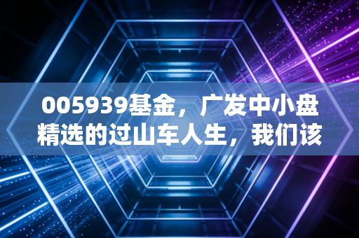 005939基金,广发中小盘精选的过山车人生,我们该如何与波动共处?