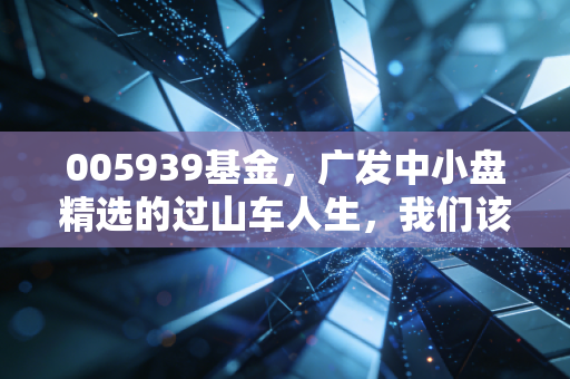 005939基金,广发中小盘精选的过山车人生,我们该如何与波动共处?