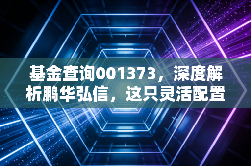 基金查询001373,深度解析鹏华弘信,这只灵活配置到底灵不灵?