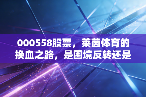 000558股票,莱茵体育的换血之路,是困境反转还是昙花一现?