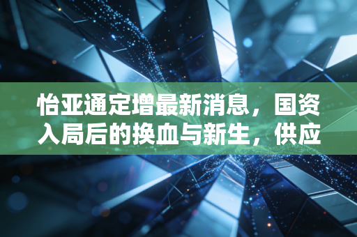 怡亚通定增最新消息，国资入局后的换血与新生，供应链巨头的转型赌局