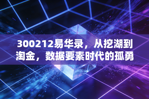 300212易华录，从挖湖到淘金，数据要素时代的孤勇者还是领航员？