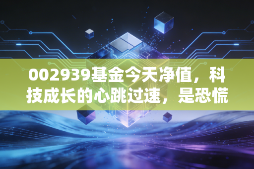 002939基金今天净值,科技成长的心跳过速,是恐慌还是加仓的良机?