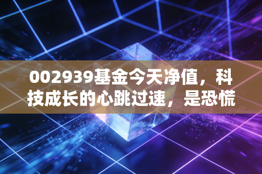 002939基金今天净值,科技成长的心跳过速,是恐慌还是加仓的良机?