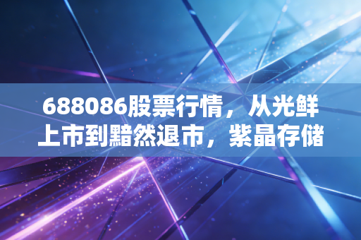 688086股票行情，从光鲜上市到黯然退市，紫晶存储给所有投资者的血泪警示