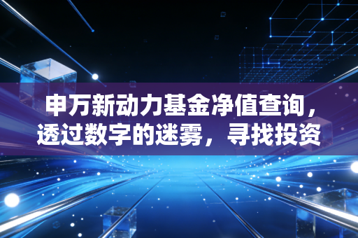 申万新动力基金净值查询,透过数字的迷雾,寻找投资的新动力