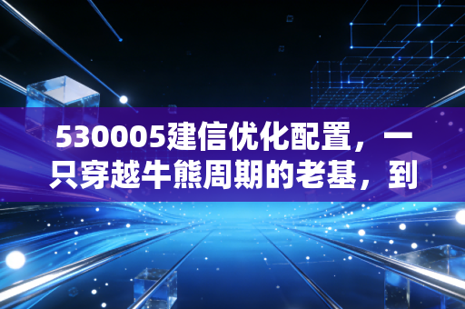 530005建信优化配置,一只穿越牛熊周期的老基,到底值不值得我们托付?