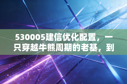 530005建信优化配置,一只穿越牛熊周期的老基,到底值不值得我们托付?