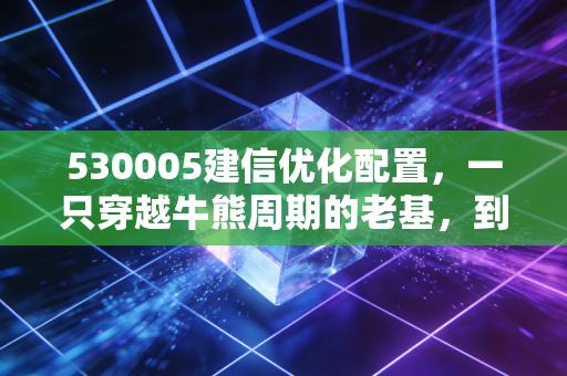 530005建信优化配置,一只穿越牛熊周期的老基,到底值不值得我们托付?