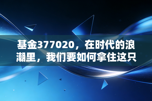 基金377020,在时代的浪潮里,我们要如何拿住这只成长矛?
