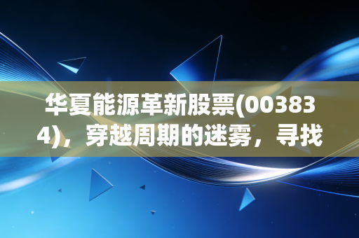 华夏能源革新股票(003834),穿越周期的迷雾,寻找能源赛道的长坡厚雪