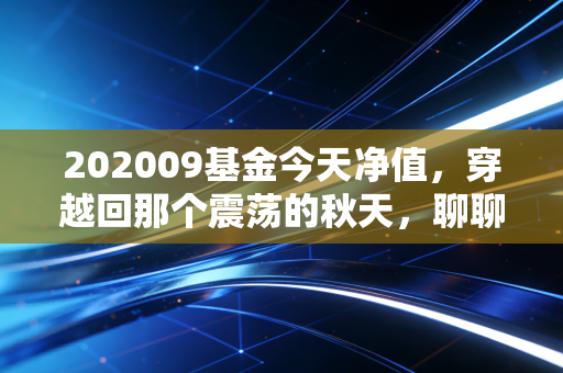 202009基金今天净值，穿越回那个震荡的秋天，聊聊净值背后的投资众生相