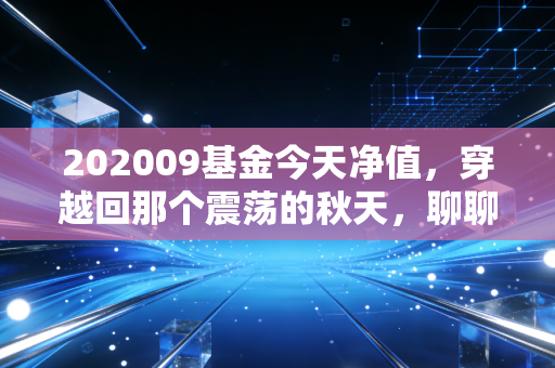 202009基金今天净值，穿越回那个震荡的秋天，聊聊净值背后的投资众生相
