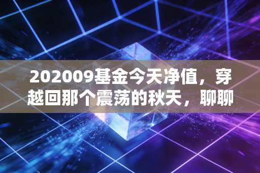 202009基金今天净值，穿越回那个震荡的秋天，聊聊净值背后的投资众生相
