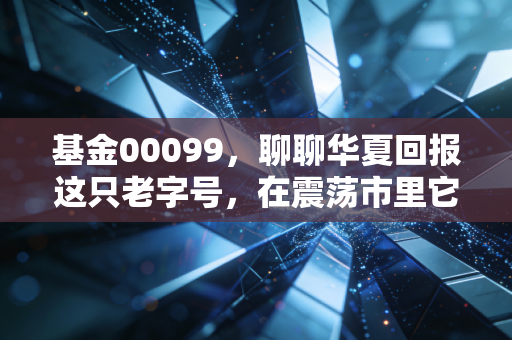 基金00099，聊聊华夏回报这只老字号，在震荡市里它还香不香？