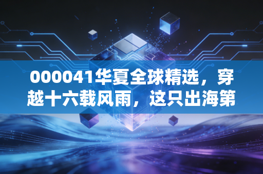 000041华夏全球精选，穿越十六载风雨，这只出海第一基还能带我们去哪里？