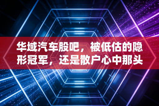 华域汽车股吧，被低估的隐形冠军，还是散户心中那头跑不动的大象？