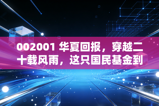 002001 华夏回报,穿越二十载风雨,这只国民基金到底做对了什么?